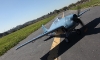 Picture of 5 CH BlitzRCWorks Blue F4F Wildcat RC Warbird Airplane ARF